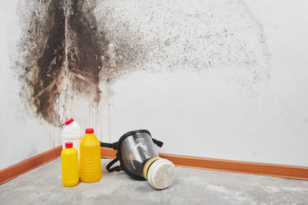 Best Mold Remediation for Vacation Homes  in Unionville, GA